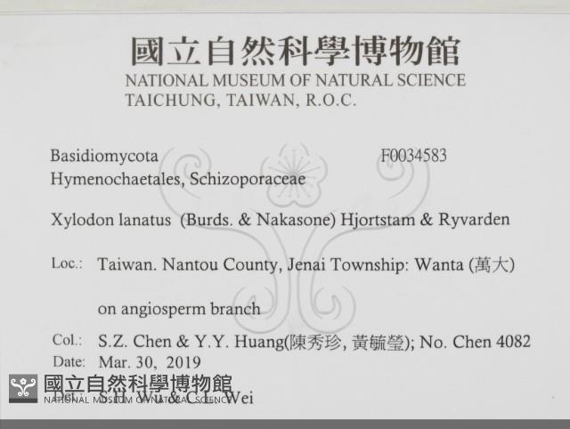 登錄號:F0034583藏品圖，第2張