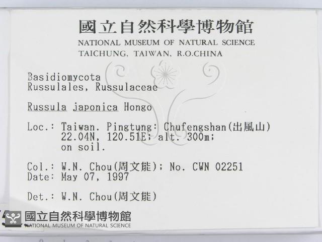 登錄號:F0007583藏品圖，第2張