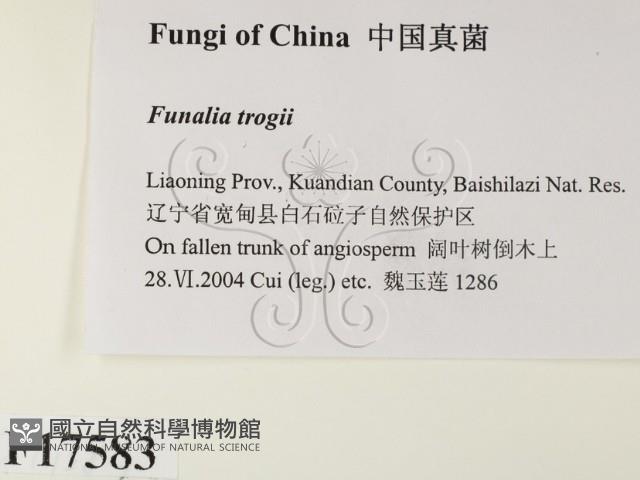 登錄號:F0017583藏品圖，第2張