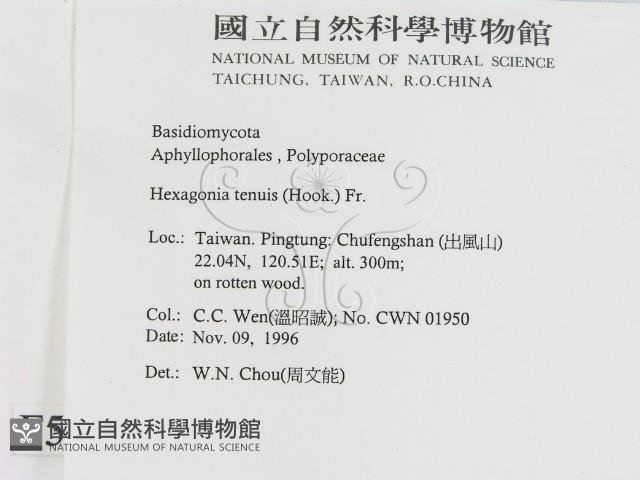 登錄號:F0005583藏品圖，第2張