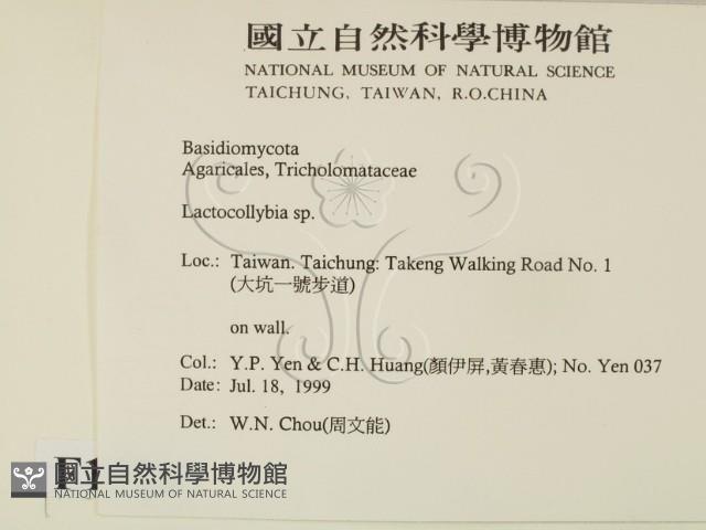 登錄號:F0015583藏品圖，第2張