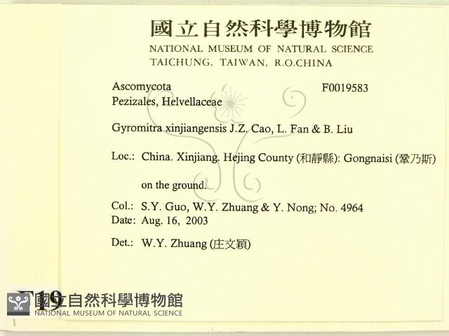 登錄號:F0019583藏品圖，第2張