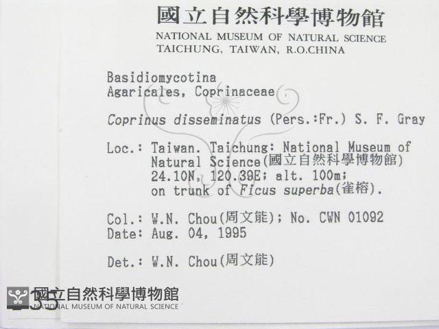 登錄號:F0003583藏品圖，第2張