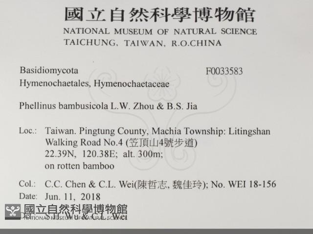 登錄號:F0033583藏品圖，第2張