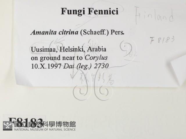 登錄號:F0008183藏品圖，第2張