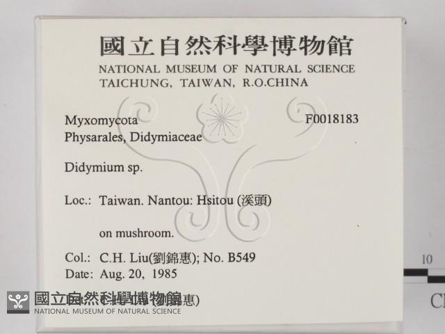 登錄號:F0018183藏品圖，第2張