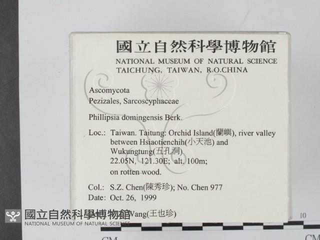 登錄號:F0010183藏品圖，第2張