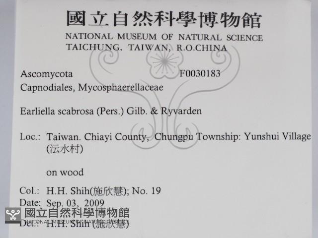 登錄號:F0030183藏品圖，第2張