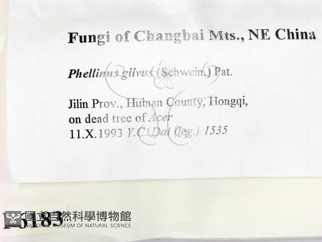 登錄號:F0006183藏品圖，第2張