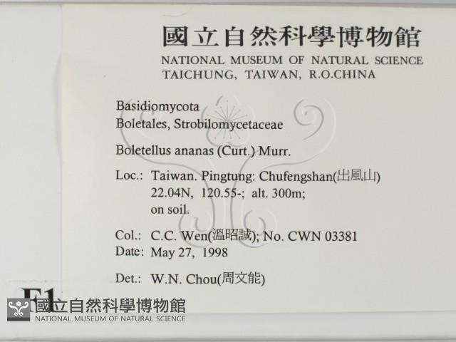 登錄號:F0011183藏品圖，第2張