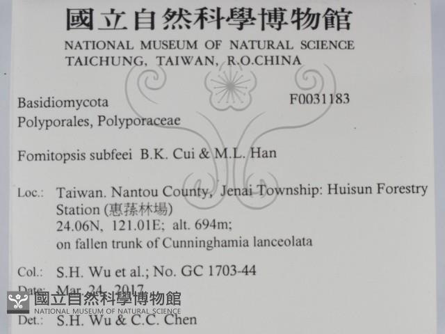 登錄號:F0031183藏品圖，第2張