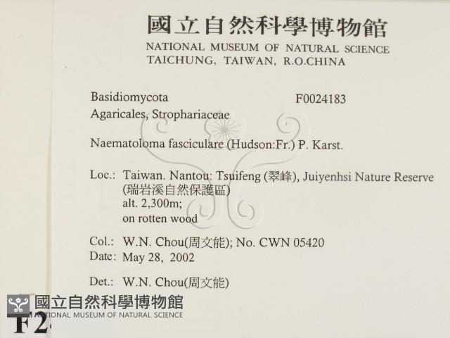 登錄號:F0024183藏品圖，第2張