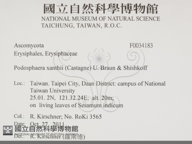 登錄號:F0034183藏品圖，第2張