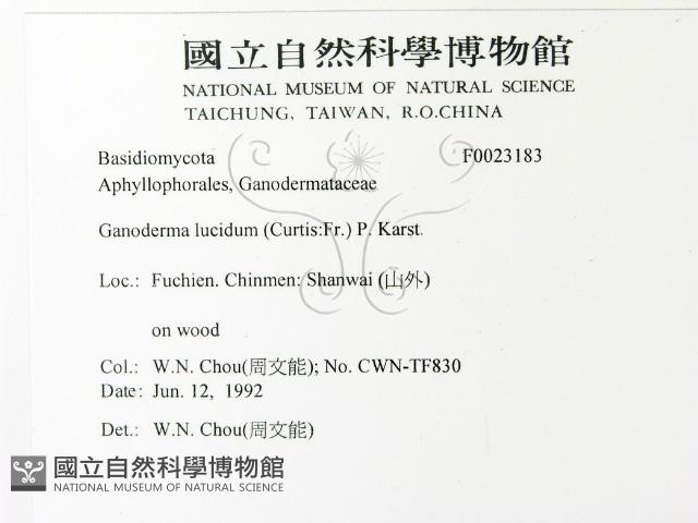 登錄號:F0023183藏品圖，第2張