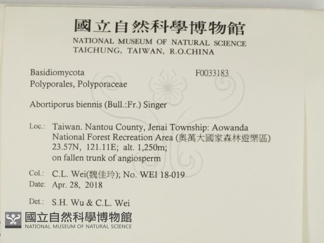 登錄號:F0033183藏品圖，第2張
