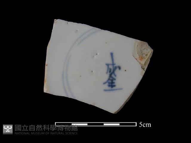 瓷片藏品圖，第1張