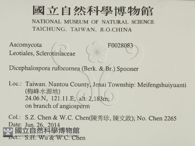 登錄號:F0028083藏品圖，第2張