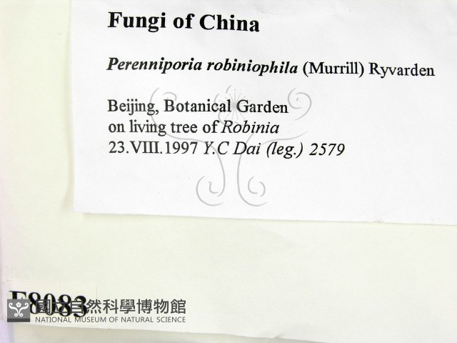 登錄號:F0008083藏品圖，第2張