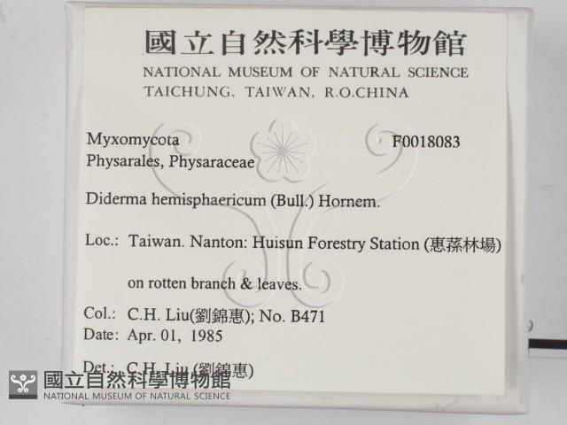 登錄號:F0018083藏品圖，第2張