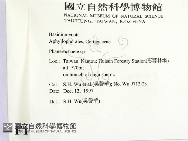 顯絲菌屬藏品圖，第2張