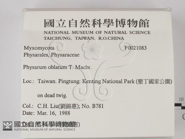 登錄號:F0021083藏品圖，第2張