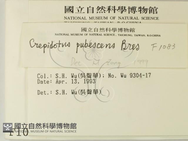 登錄號:F0001083藏品圖，第2張