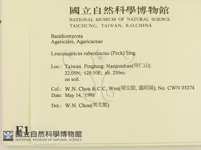登錄號:F0011083藏品圖，第2張