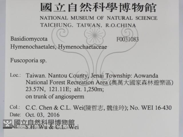 登錄號:F0031083藏品圖，第2張