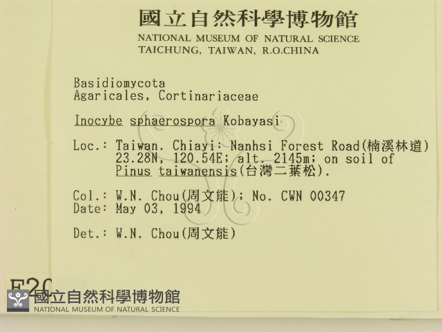 登錄號:F0002083藏品圖，第2張
