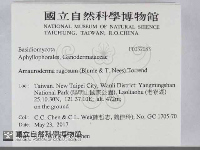 登錄號:F0032083藏品圖，第2張