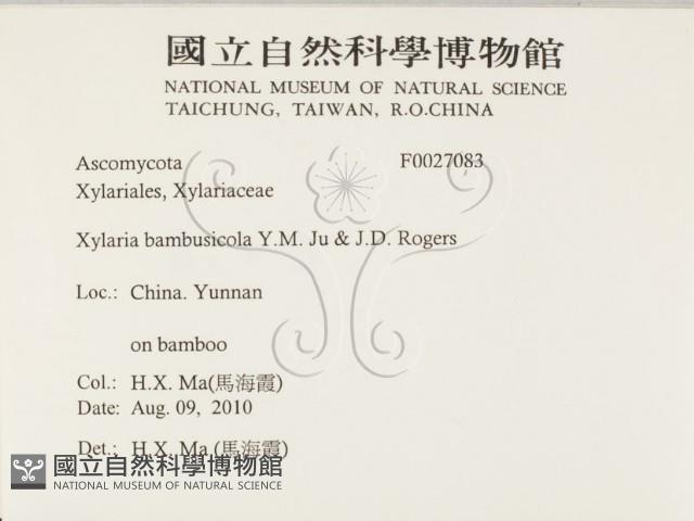 登錄號:F0027083藏品圖，第2張