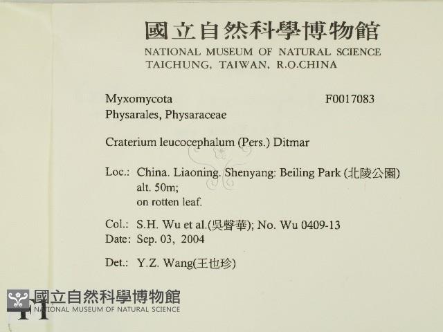 登錄號:F0017083藏品圖，第2張