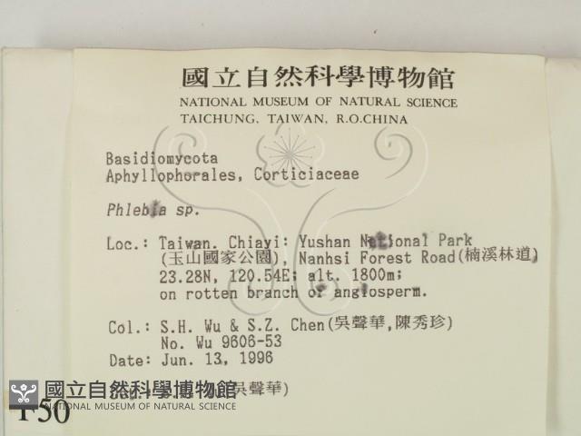 射脈菌屬藏品圖，第2張