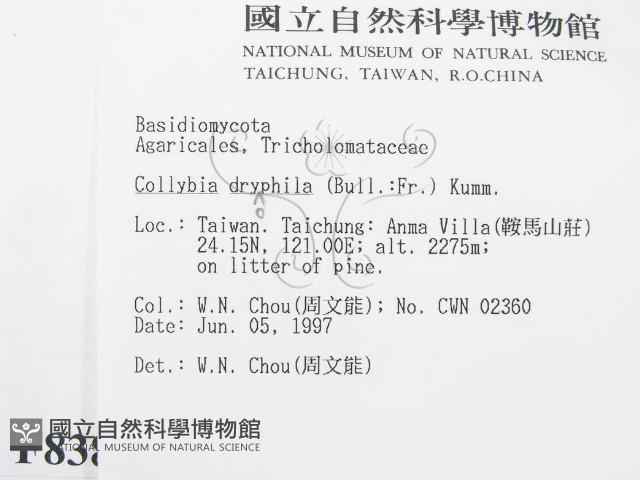 登錄號:F0008383藏品圖，第2張