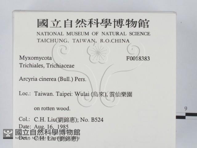 登錄號:F0018383藏品圖，第2張