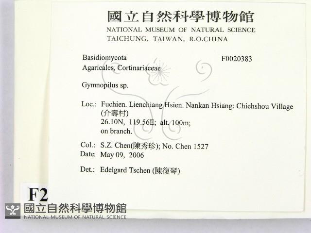 登錄號:F0020383藏品圖，第2張