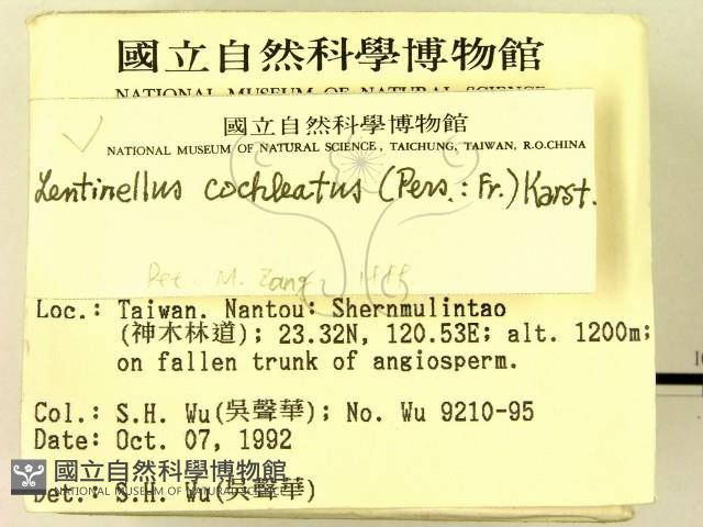 登錄號:F0000383藏品圖，第2張