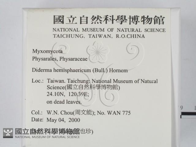 登錄號:F0010383藏品圖，第2張