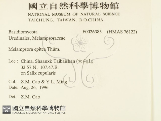 登錄號:F0026383藏品圖，第2張