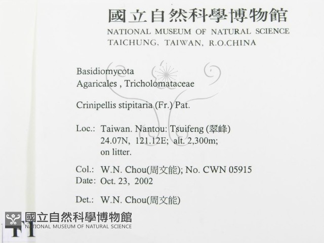 登錄號:F0016383藏品圖，第2張
