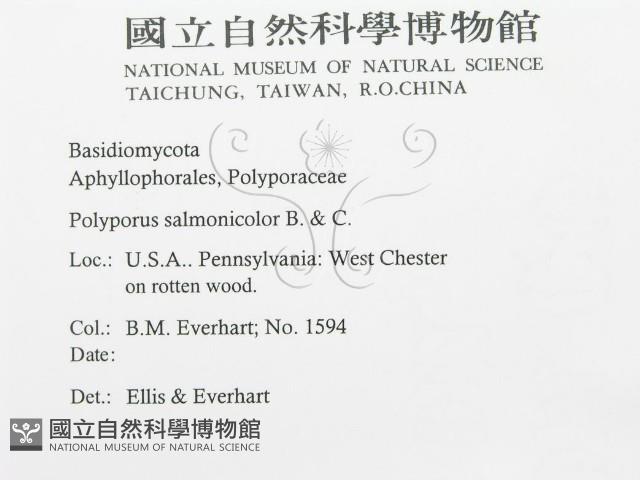 登錄號:F0011383藏品圖，第2張