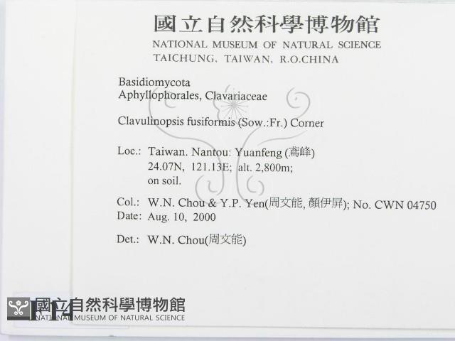 登錄號:F0014383藏品圖，第2張