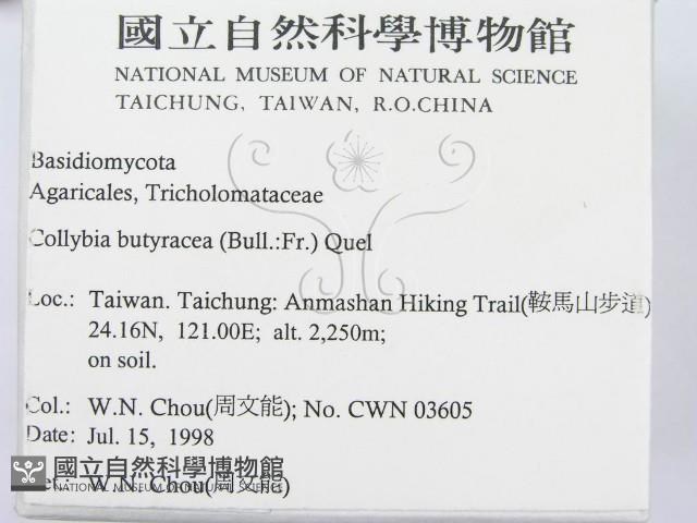 登錄號:F0012383藏品圖，第2張