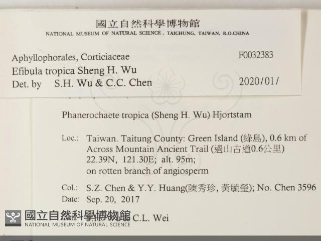 登錄號:F0032383藏品圖，第2張