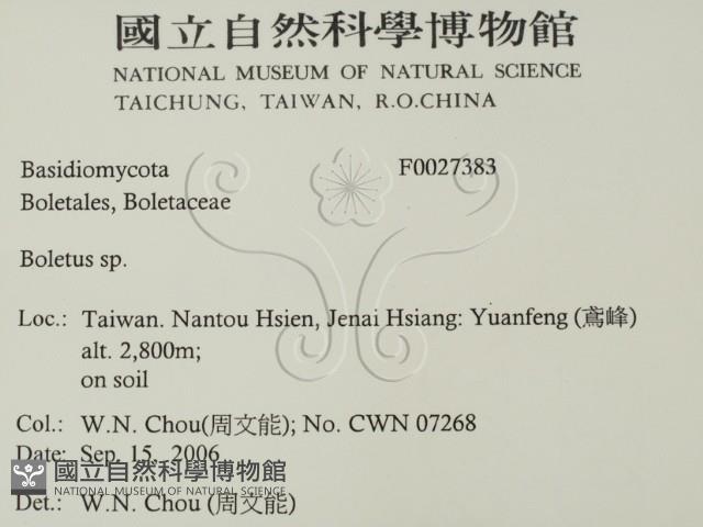 登錄號:F0027383藏品圖，第2張