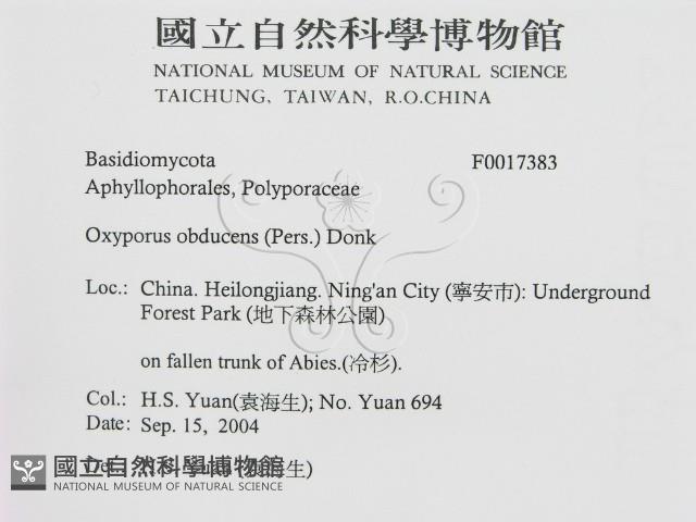 登錄號:F0017383藏品圖，第2張
