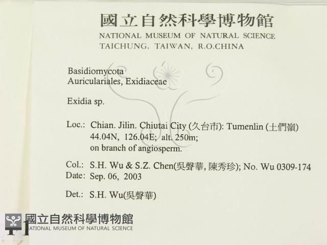 登錄號:F0015383藏品圖，第2張