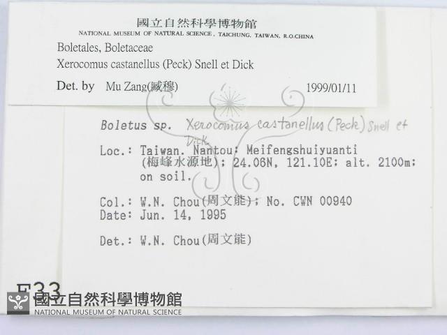 登錄號:F0003383藏品圖，第2張