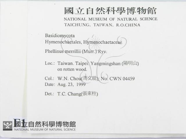 登錄號:F0013383藏品圖，第2張