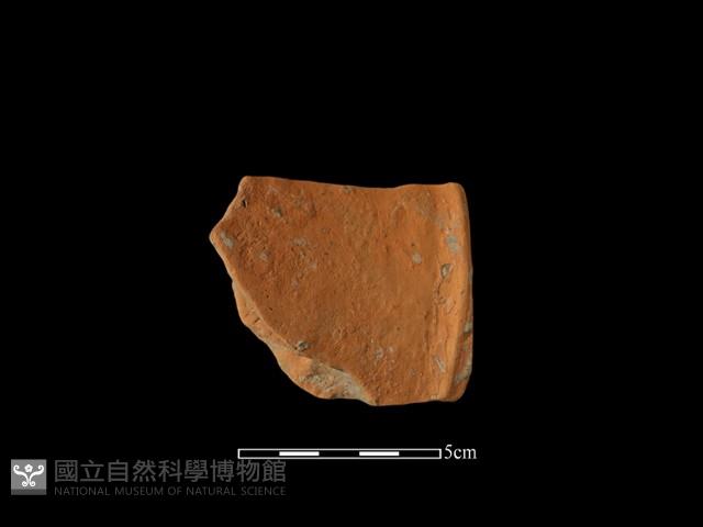 陶片藏品圖，第2張